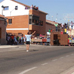foto de los novillos